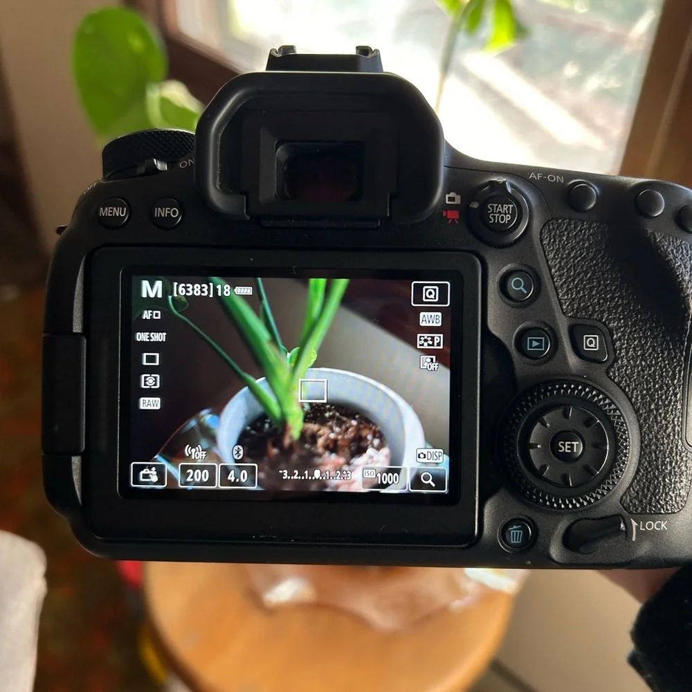 Canon 6D Mark ii + 50mm lens + Neewer flash